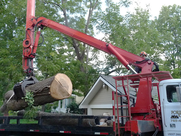 ash-loading-logs